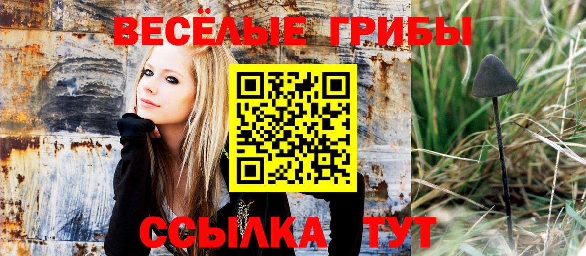 Псилоцибиновые грибы Psilocybine cubensis  Вход с VPN  Смоленск  Галлюциногенные грибы GOLDEN TEACHER 